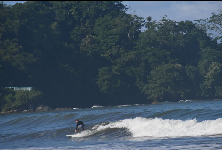 Surfer riding a wave beside the rainforest coast near Dominical